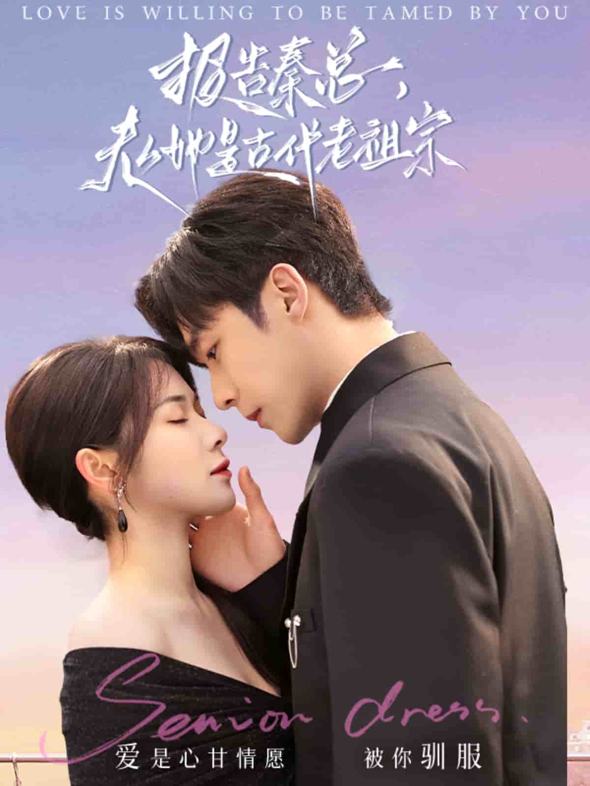 报告秦总，夫人她是古代老祖宗(全集)