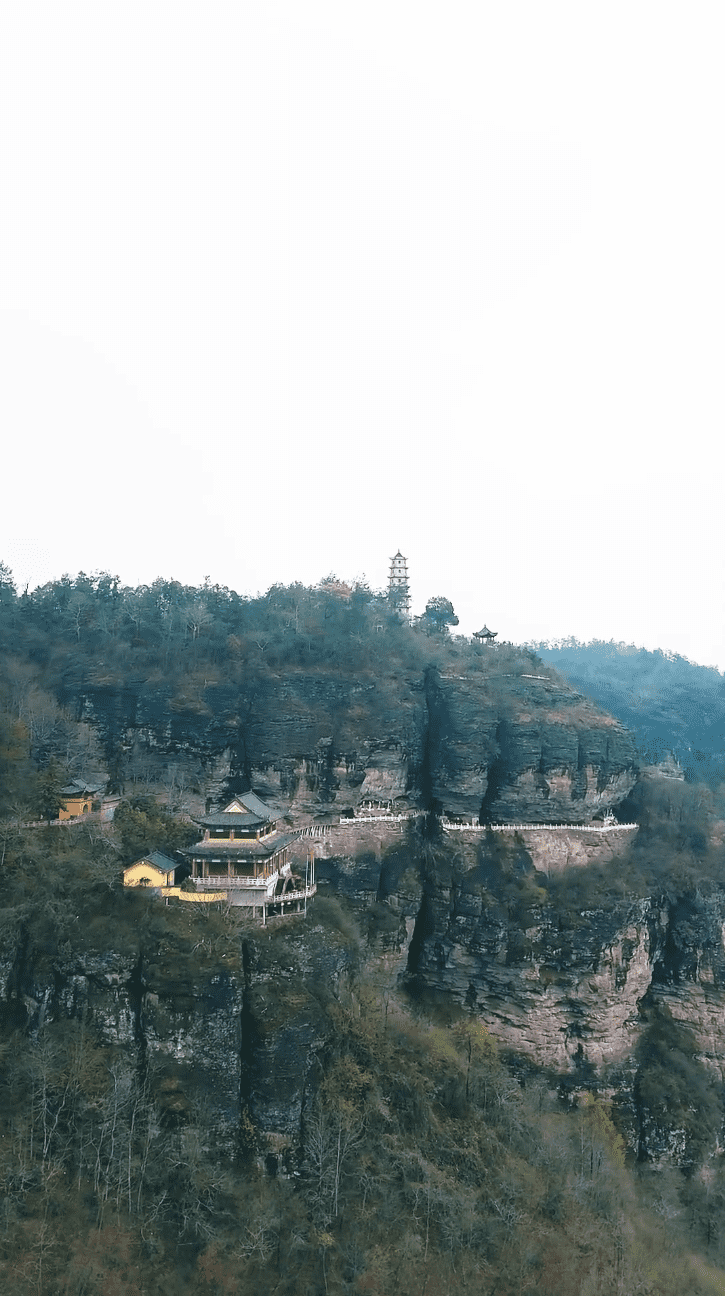 功夫萌宝神算爹(全集)