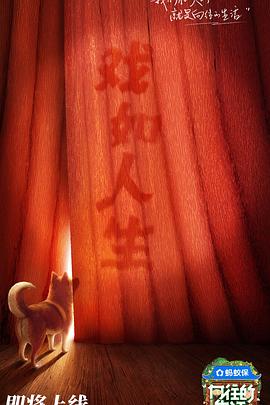 向往的生活第八季