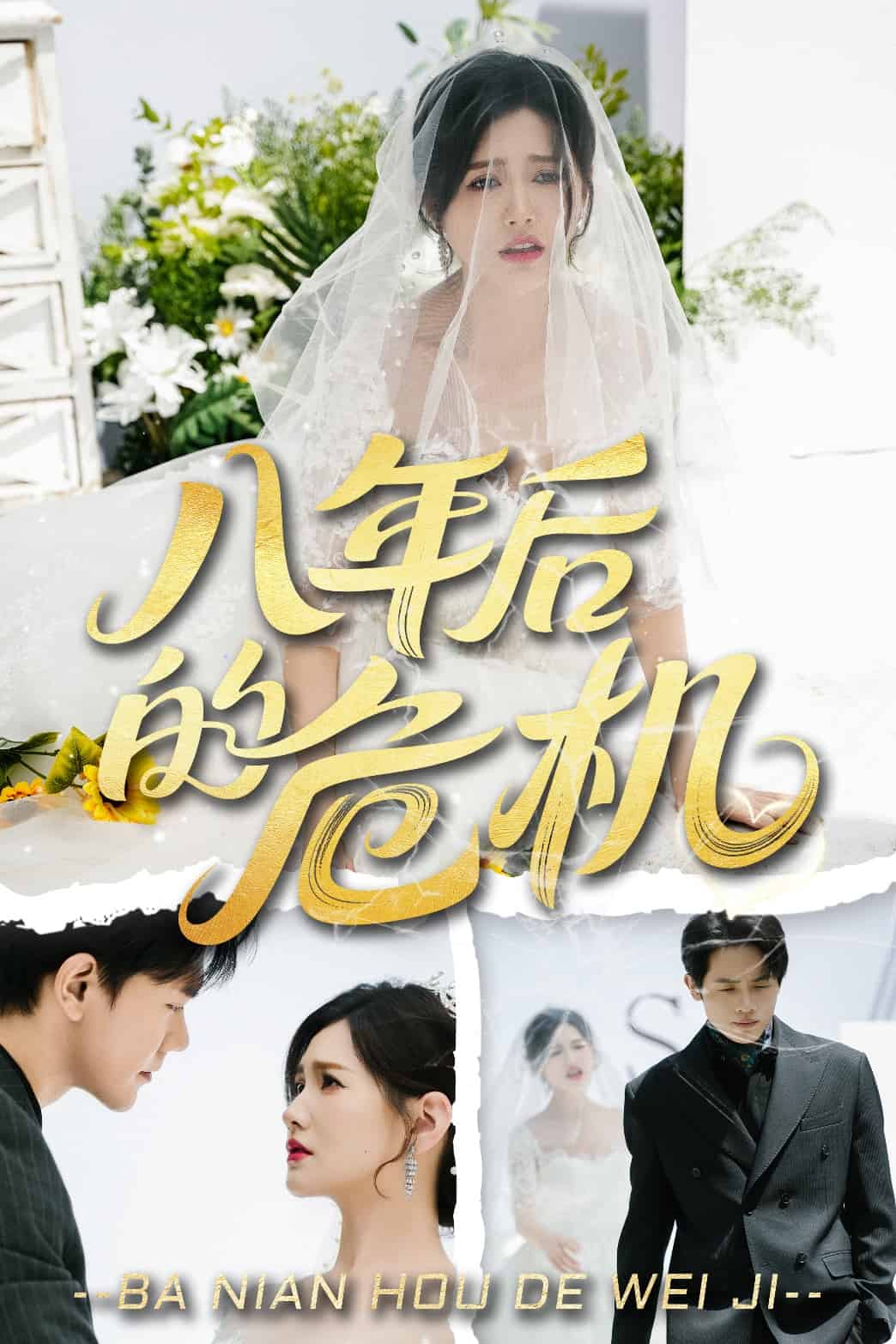 八年后的危机(全集)