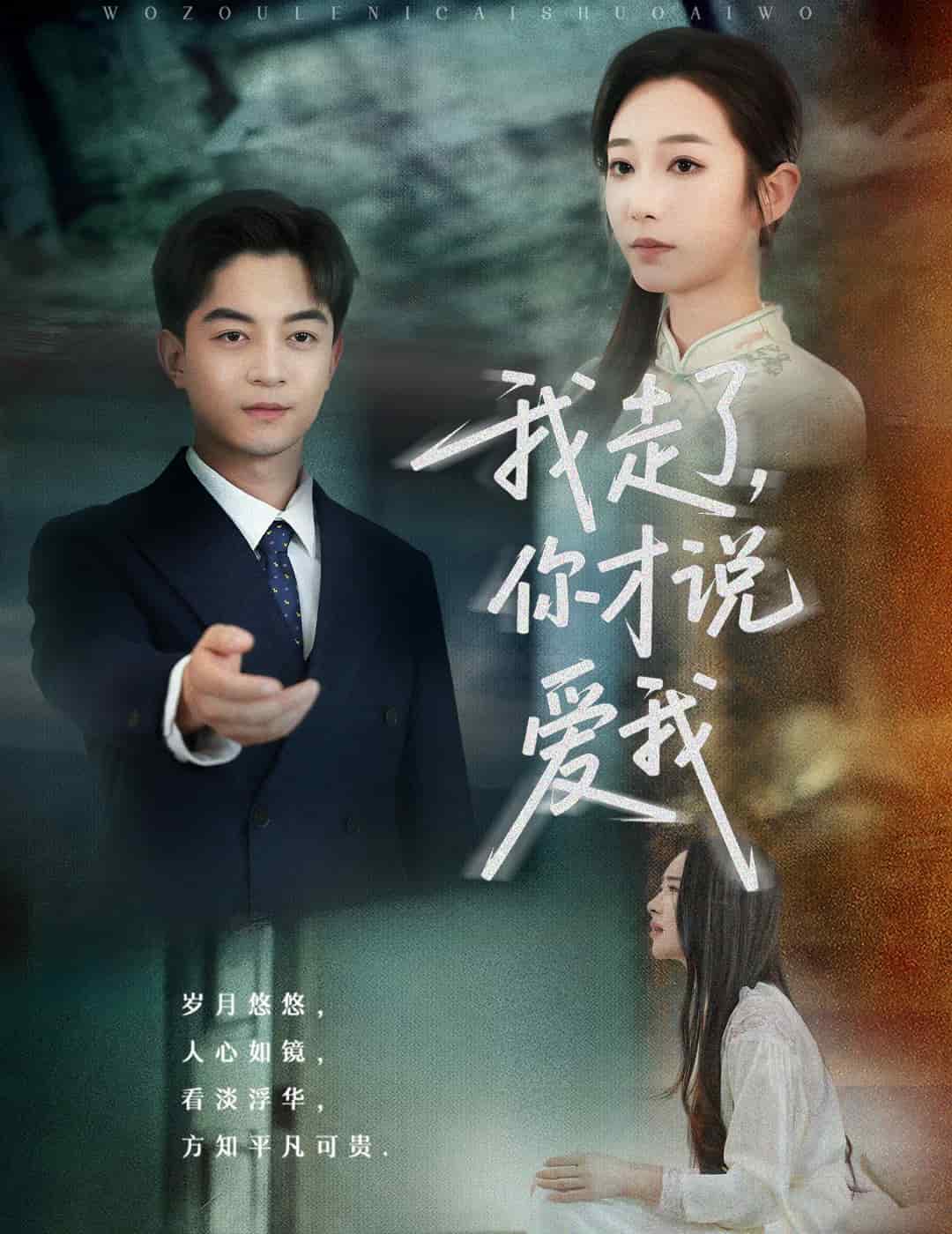 我走了你才说爱我(全集)