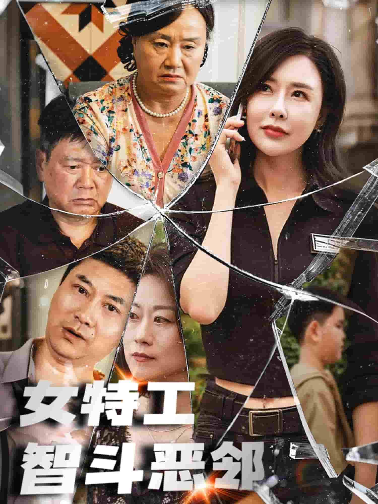 女特工智斗恶邻(全集)