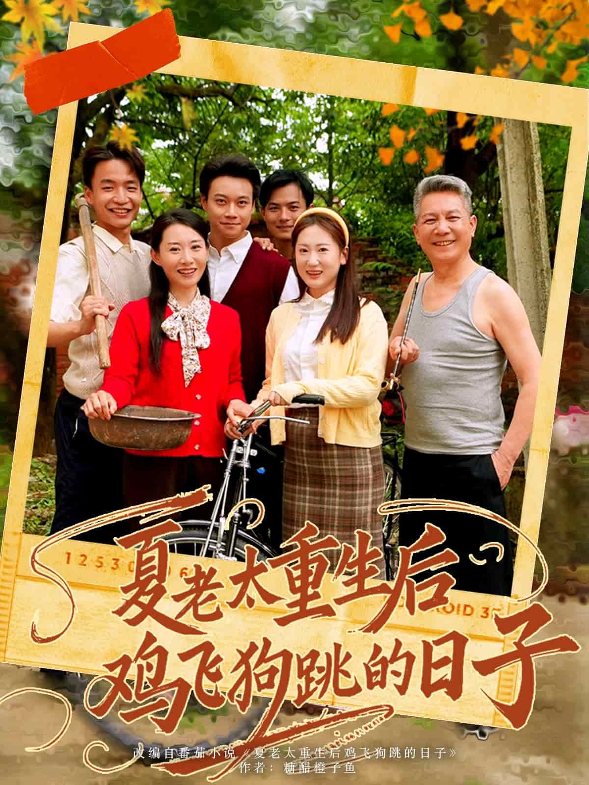 夏老太重生后鸡飞狗跳的日子(全集)