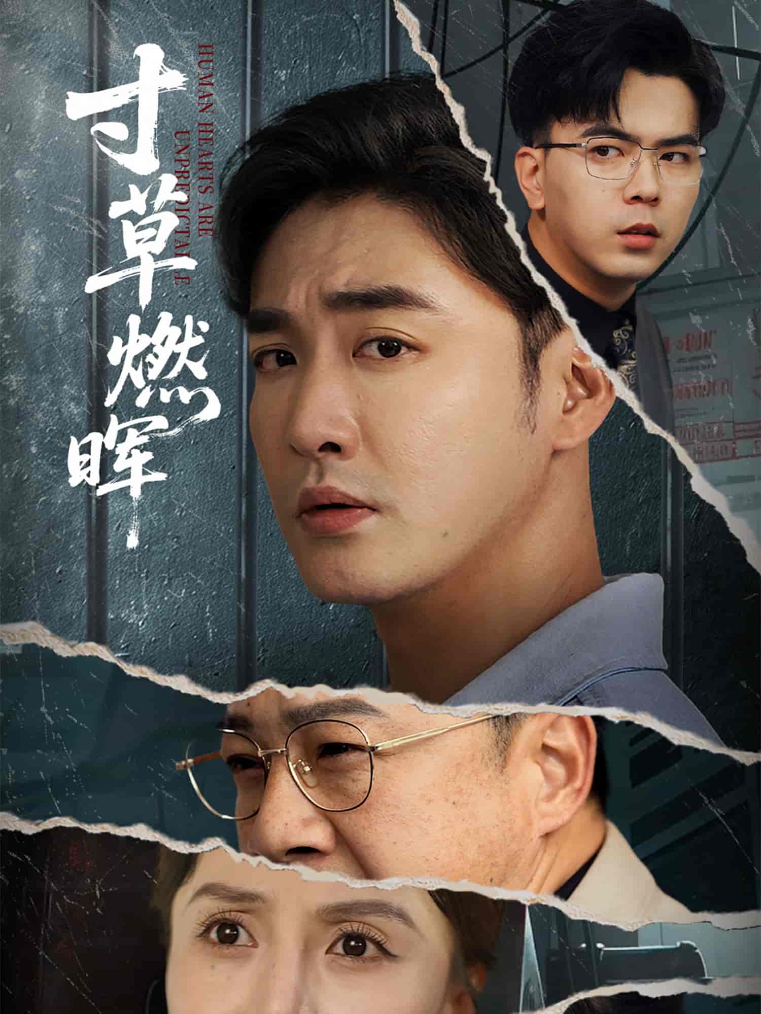 寸草燃晖(全集)