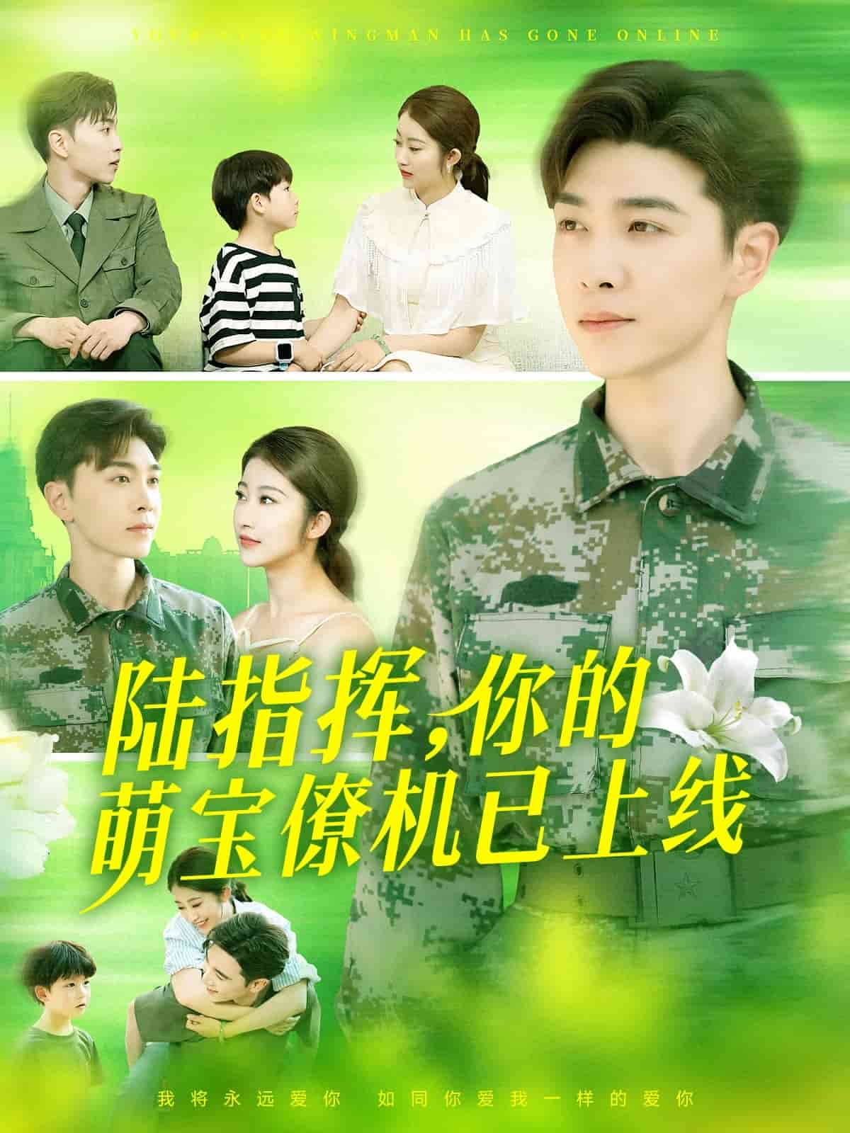 陆总你的萌宝已上线(全集)