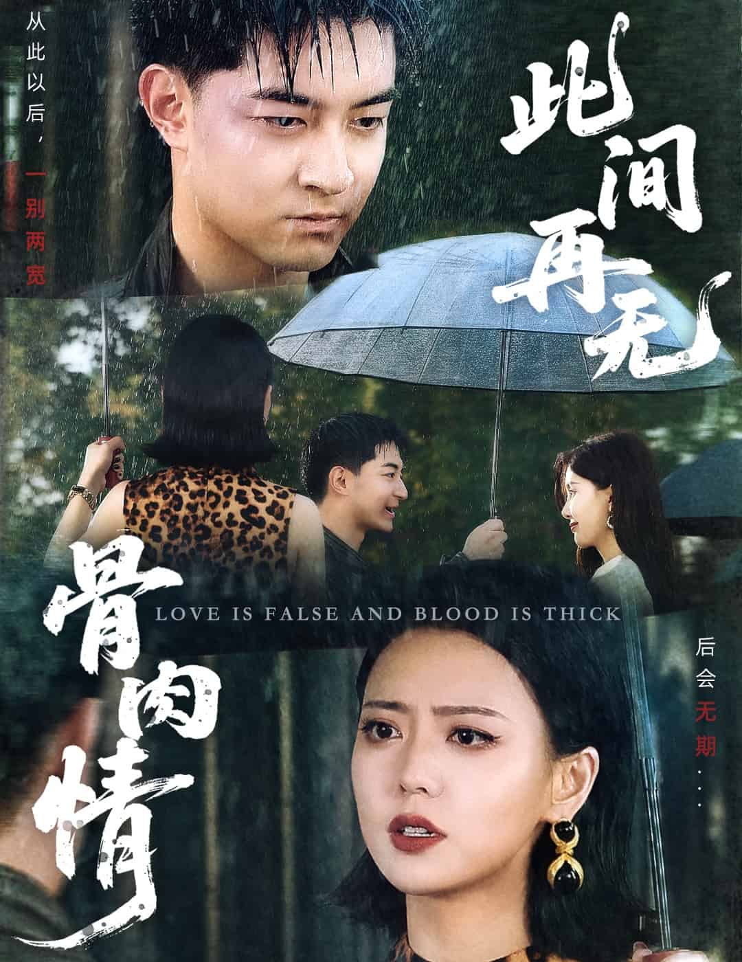 此间再无骨肉情(全集)