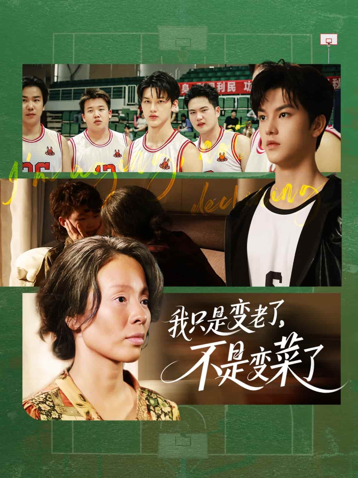 我只是变老了，不是变菜了(全集)
