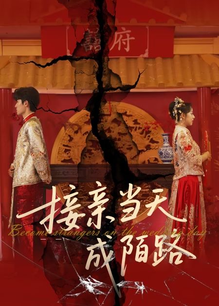接亲当天成陌路(全集)
