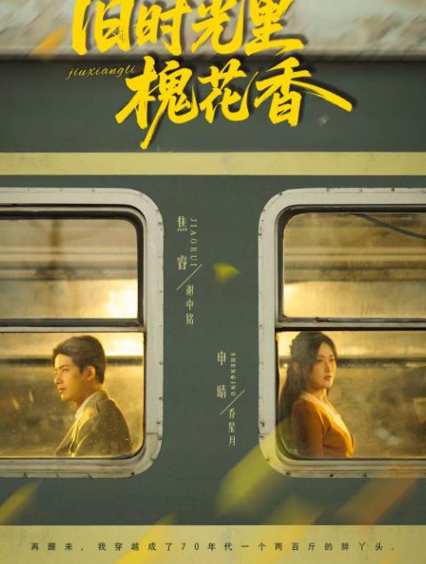 旧时光里槐花香(全集)