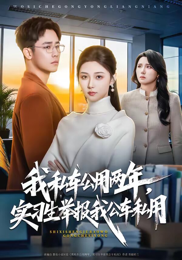 我私车公用两年，实习生举报我公车私用(全集)