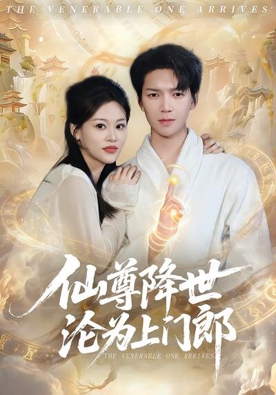 仙尊降世沦为上门郎(全集)