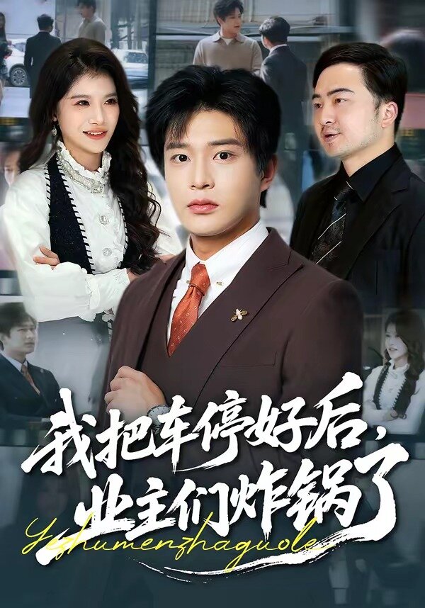 我把车停好后，业主们炸锅了(全集)