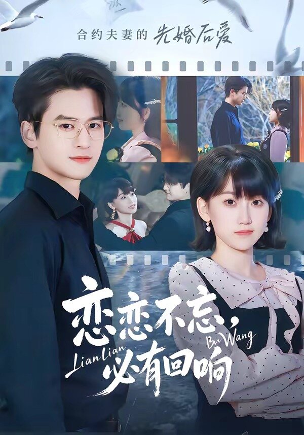 恋恋不忘，必有回响(全集)